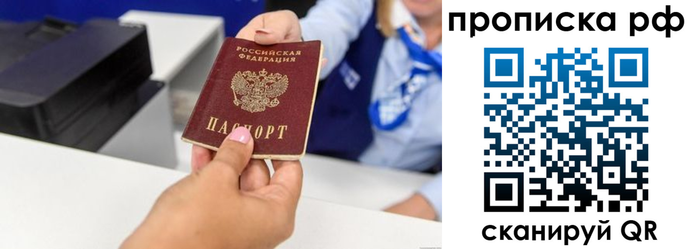 купить прописку в Сельцо